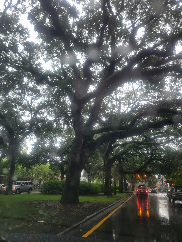 we got rained out in Savannah Georgia, and cut the day short to head home.